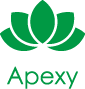 Apexy LLC